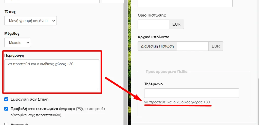 Στιγμιότυπο οθόνης που δείχνει πως φαίνεται η περιγραφή πεδίου